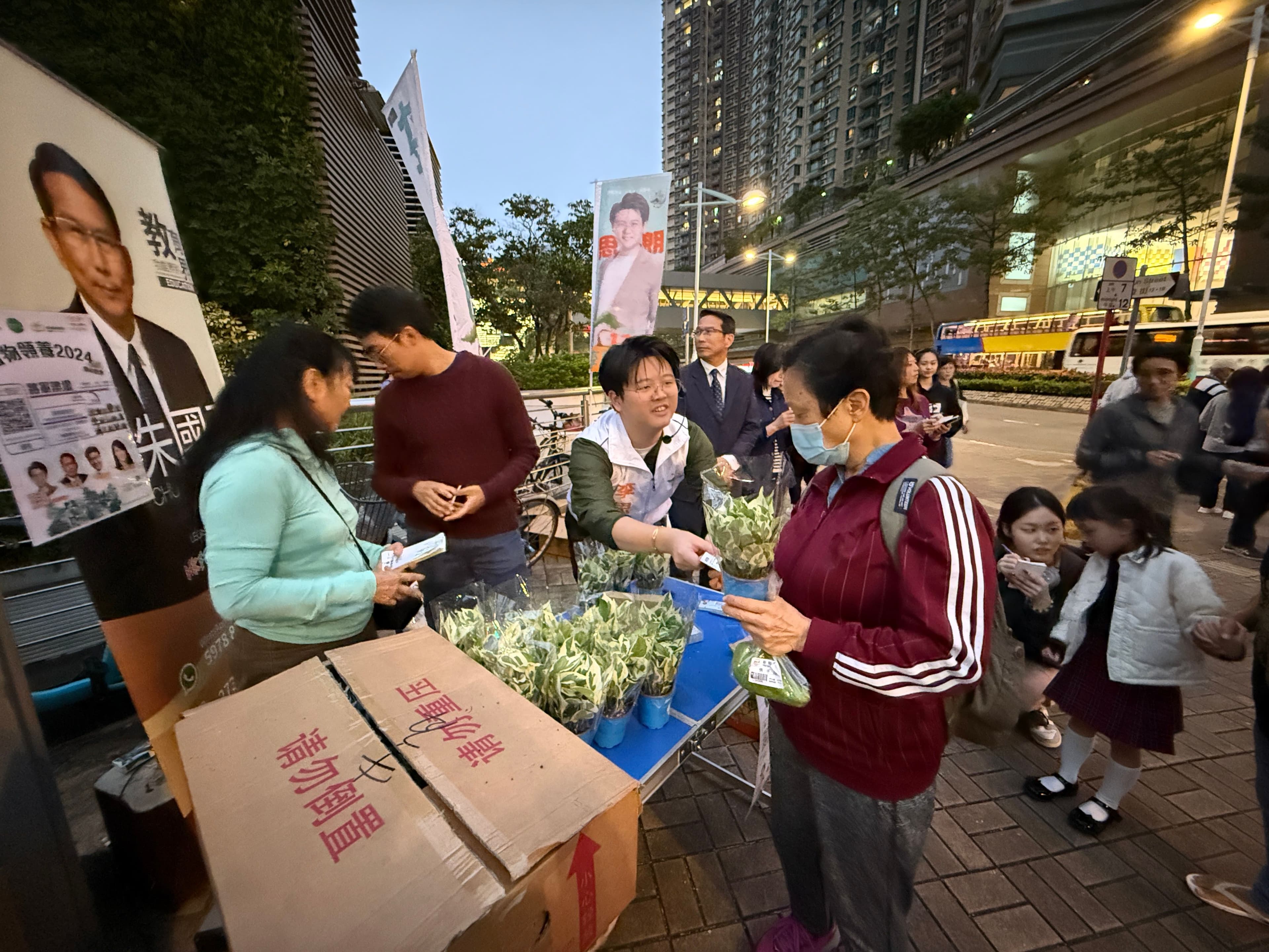 植物領養2024